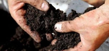 पातपतिङ्गरबाट प्राङ्गारिक मल