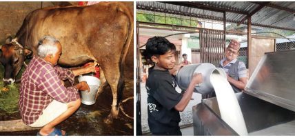 दूधको भुक्तानी नपाउँदा दमकका दुई सय किसान समस्यामा