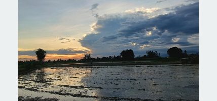 लागत बढेपछि चपेटामा किसान