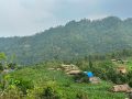 भौतिक विकासको पर्खाइमा पलगडी गाउँ