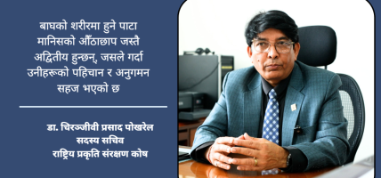 मानव–बाघ द्वन्द्व न्यूनीकरण प्रमुख प्राथमिकतामा, संरक्षणको लाभ समुदायसम्म पु-याउने लक्ष्य