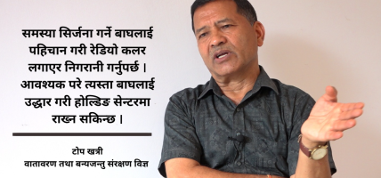 बाघको संख्या बढाएर मात्र हुँदैन, व्यवस्थापन र संरक्षणमा ध्यान दिनुपर्छ : टोप खत्री
