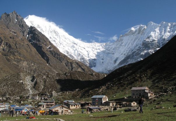 लाङटाङ राष्ट्रिय निकुञ्जमा पर्यटक आगमन र राजस्व दुवै घट्यो लाङटाङ राष्ट्रिय निकुञ्जमा पर्यटक आगमन र राजस्व दुवै घट्यो