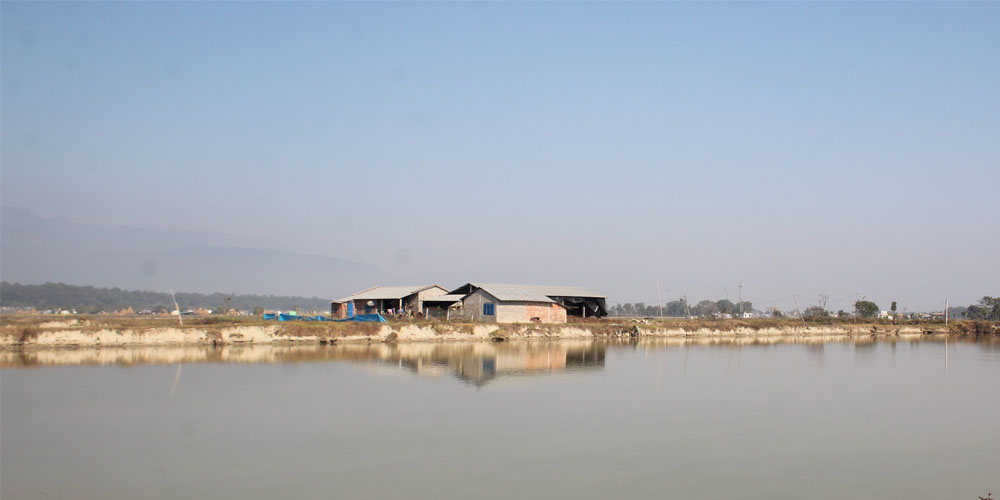 ट्राउटपालन माछा    वार्षिक १२ लाख आम्दानी