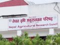 नार्कका सम्पर्कविहीन दुई कर्मचारी बर्खास्त नार्कका सम्पर्कविहीन दुई कर्मचारी बर्खास्त