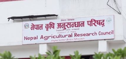नार्कका सम्पर्कविहीन दुई कर्मचारी बर्खास्त