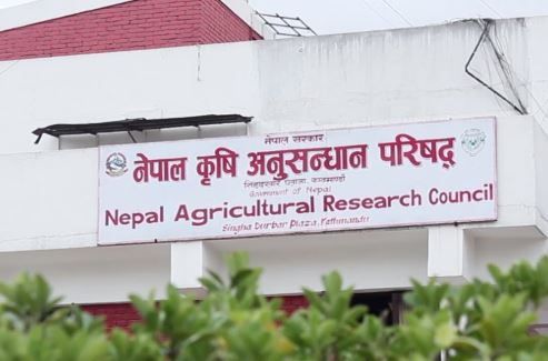 नार्कका सम्पर्कविहीन दुई कर्मचारी बर्खास्त