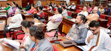 राष्ट्रियसभाबाट आर्थिक विधेयक पारित