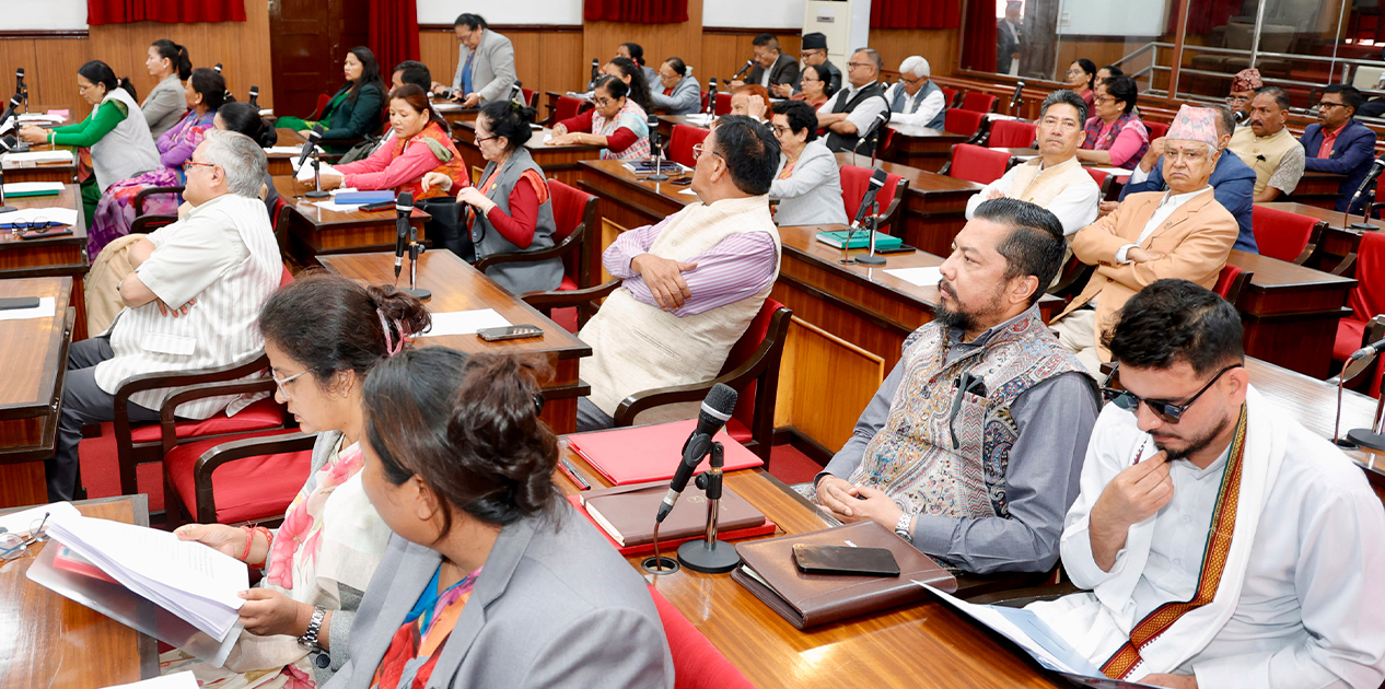 राष्ट्रियसभाबाट आर्थिक विधेयक पारित