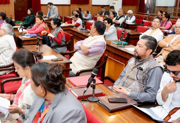 राष्ट्रियसभाबाट ‘राष्ट्र ऋण उठाउने’ विधेयक स्वीकृत