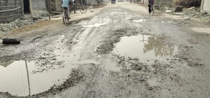 राजविराज–भारदह सडक अलपत्र