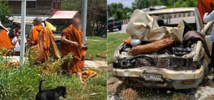 बालकले चलाएको ट्रकले आठ भिक्षुको मृत्यु