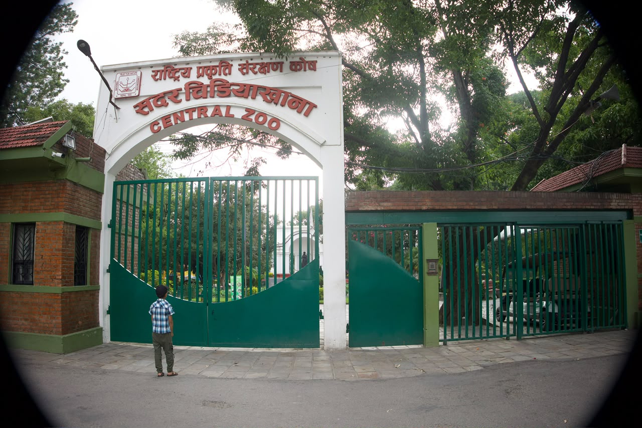 बर्डफ्लु नियन्त्रणपछि जावलाखेल सदर चिडियाखाना आजदेखि पुनः खुला