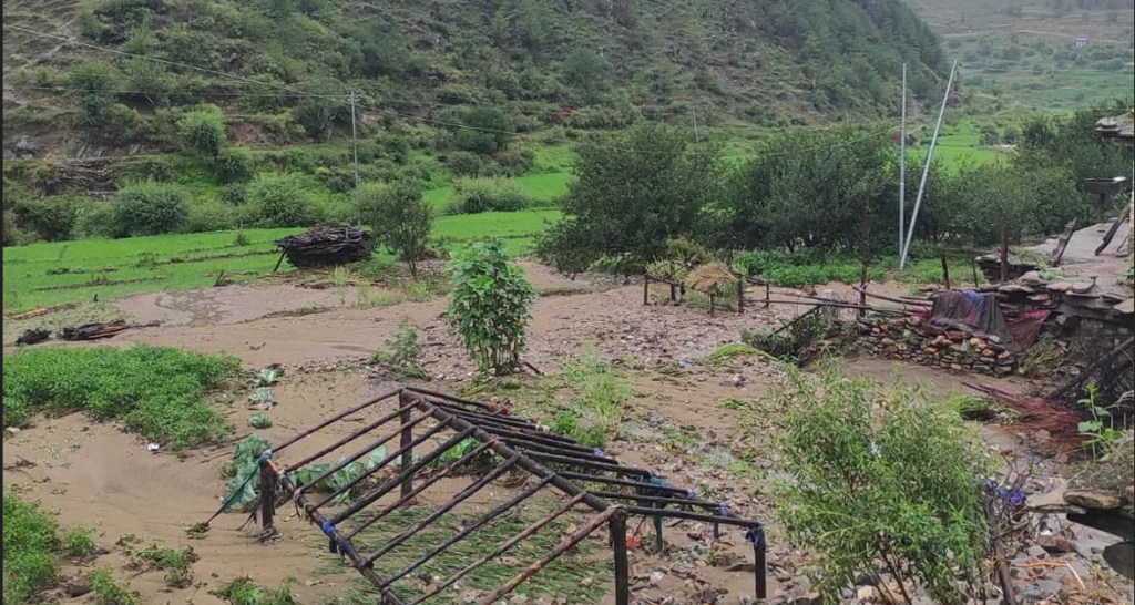 अविरल वर्षाले जुम्लाको सिंजामा कृषिबाली र संरचनामा क्षति