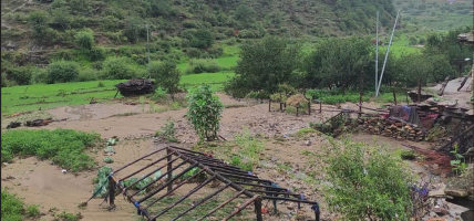 अविरल वर्षाले जुम्लाको सिंजामा कृषिबाली र संरचनामा क्षति