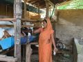 बाख्रापालनले बदल्दै ग्रामीण महिलाको जीवन बाख्रापालनले बदल्दै ग्रामीण महिलाको जीवन