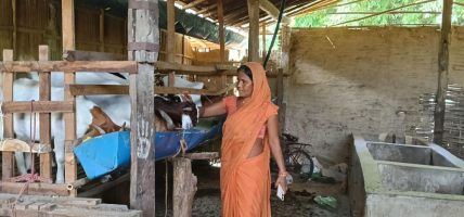 बाख्रापालनले बदल्दै ग्रामीण महिलाको जीवन