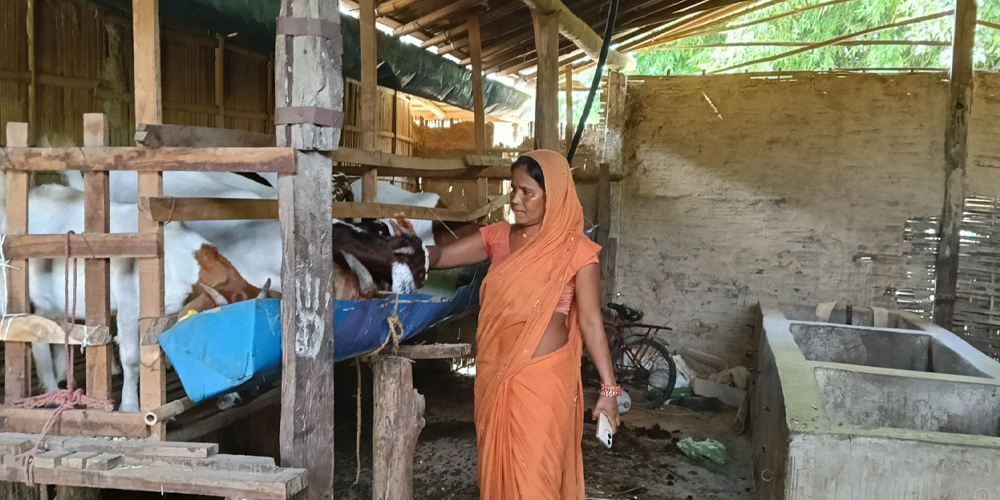 बाख्रापालनले बदल्दै ग्रामीण महिलाको जीवन