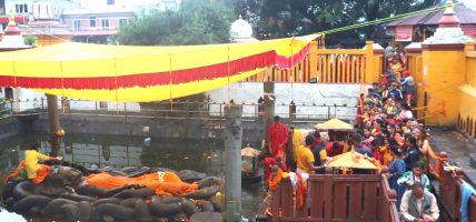 हरिशयनी एकादशीः नारायण मन्दिरमा बिहानैदेखि भक्तजनको घुइँचो
