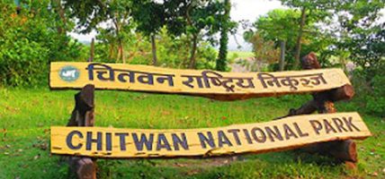 चितवन राष्ट्रिय निकुञ्जमा पर्यटक आगमन बढ्यो, २७ करोडभन्दा बढी राजस्व सङ्कलन