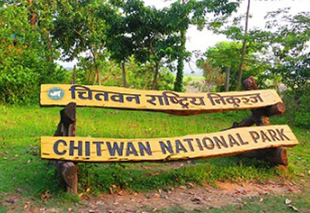 चितवन राष्ट्रिय निकुञ्जमा पर्यटक आगमन बढ्यो, २७ करोडभन्दा बढी राजस्व सङ्कलन चितवन राष्ट्रिय निकुञ्जमा पर्यटक आगमन बढ्यो, २७ करोडभन्दा बढी राजस्व सङ्कलन