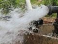 रुपन्देहीमा बोरिङको भरमा धान रोपाइँ रुपन्देहीमा बोरिङको भरमा धान रोपाइँ