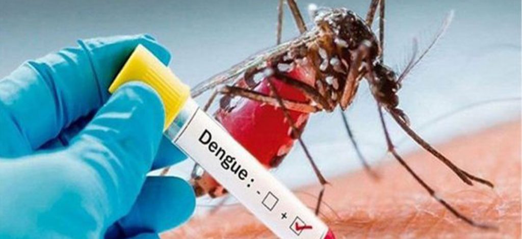 पानी पर्न थालेपछि डेङ्गी सङ्क्रमणको जोखिम बढ्ने