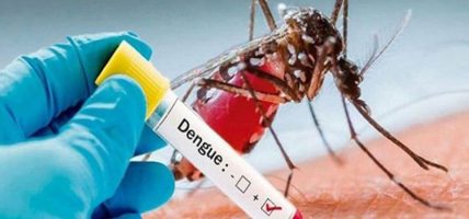 पानी पर्न थालेपछि डेङ्गी सङ्क्रमणको जोखिम बढ्ने