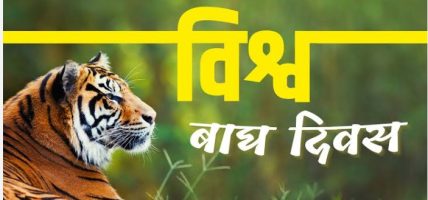 विश्व बाघ दिवसः पछिल्लो बाघ गणना सार्वजनिक गरिँदै, सङ्ख्या बढ्ने सङ्केत