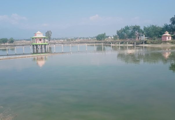 प्रचारप्रसार नहुँदा ओझेलमा तुलसीपुरको गौरीगाउँ ताल प्रचारप्रसार नहुँदा ओझेलमा तुलसीपुरको गौरीगाउँ ताल
