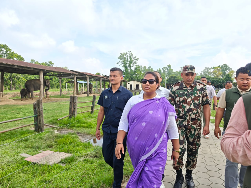 हात्ती प्रजनन केन्द्रको निरीक्षण गर्दै मन्त्री चौधरीद्वारा सुधार र विकासमा जोड