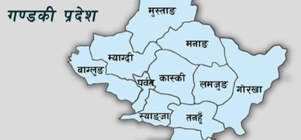 गण्डकी प्रदेशका दुई हजार ४३१ व्यावसायिक फर्मलाई कानुनी कारबाही
