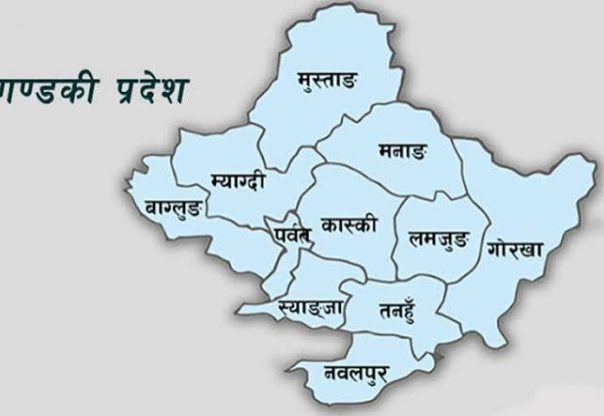 गण्डकी प्रदेशका दुई हजार ४३१ व्यावसायिक फर्मलाई कानुनी कारबाही