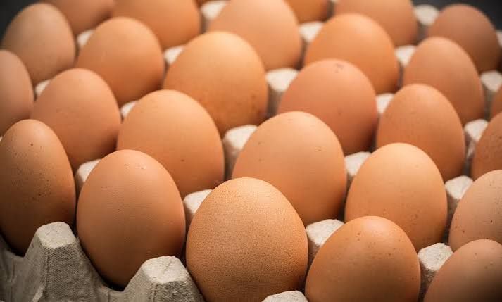 अण्डाको मूल्य बढ्यो, अझै किसानले लागत मूल्य पाएनन्