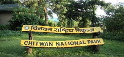 आजदेखि निकुञ्जमा व्यावसायिक सफारी सेवा बन्द