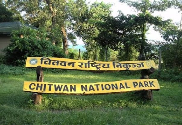 आजदेखि निकुञ्जमा व्यावसायिक सफारी सेवा बन्द आजदेखि निकुञ्जमा व्यावसायिक सफारी सेवा बन्द