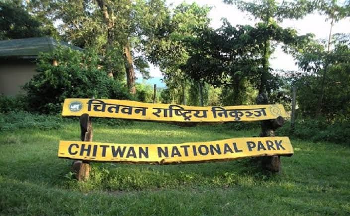 आजदेखि निकुञ्जमा व्यावसायिक सफारी सेवा बन्द