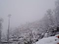 आजको मौसमः काठमाडौँसहित अधिकांश स्थानमा वर्षाको सम्भावना आजको मौसमः काठमाडौँसहित अधिकांश स्थानमा वर्षाको सम्भावना