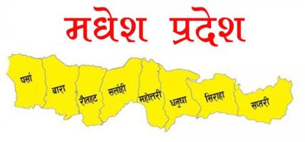 मधेस प्रदेशका ३४ स्थानीय तहमा करदाता सेवा विस्तार