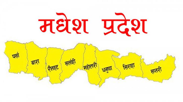 मधेस प्रदेशका ३४ स्थानीय तहमा करदाता सेवा विस्तार