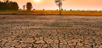 एल निनो तीव्र बन्दै, चरम मौसमको जोखिम बढ्ने