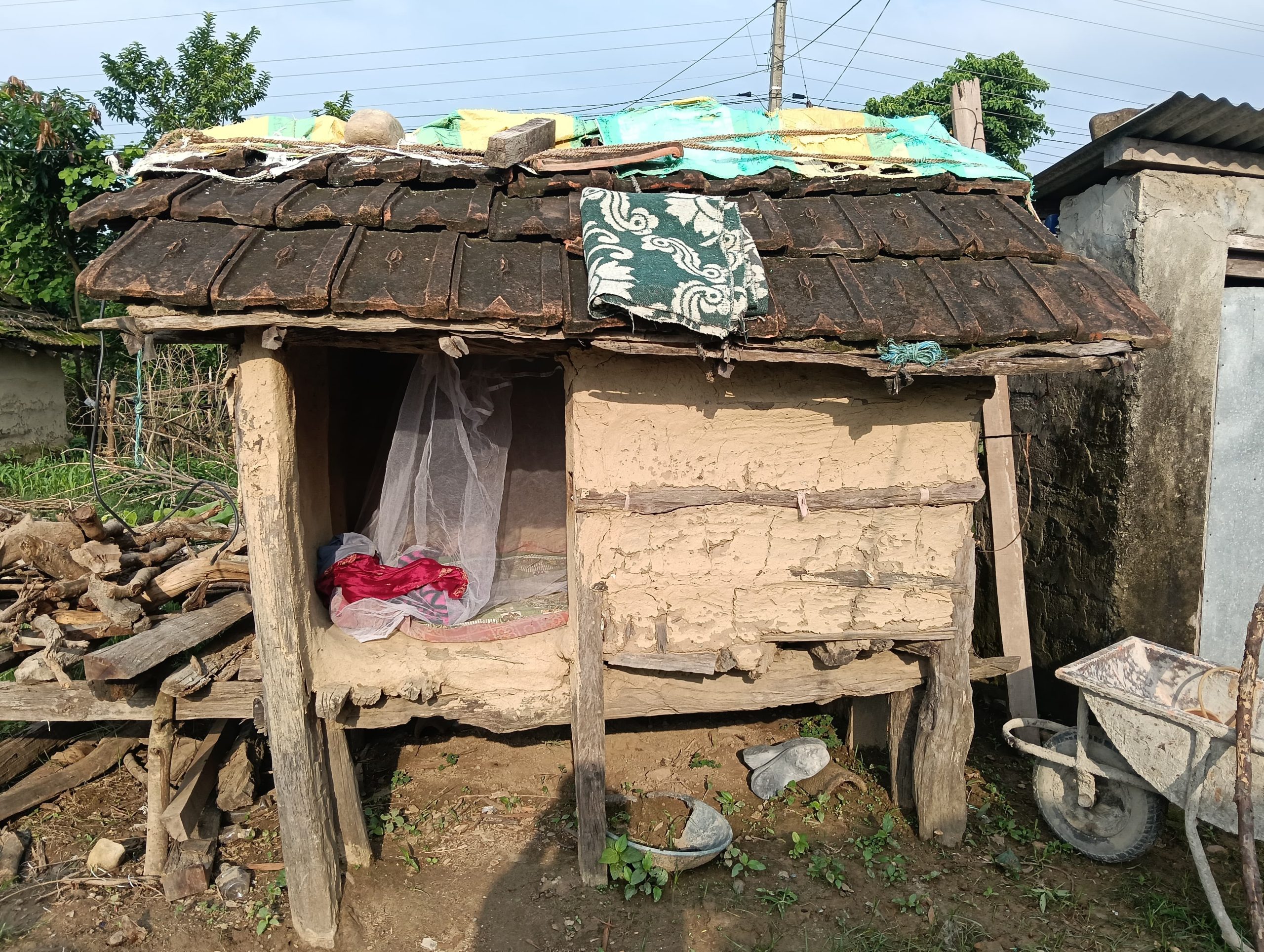 बडीमालिकामा छाउपडी गोठ मुक्तघोषणा