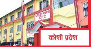 कोशी प्रदेशसभा : विनियोजन विधेयकमाथिको छलफल सकियो