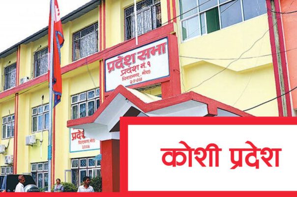 कोशी प्रदेशसभा : विनियोजन विधेयकमाथिको छलफल सकियो कोशी प्रदेशसभा : विनियोजन विधेयकमाथिको छलफल सकियो