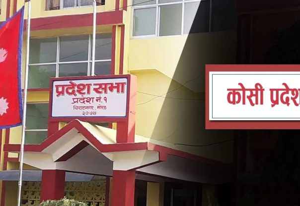 कोशी प्रदेशसभाः विनियोजन विधेयकमाथिको छलफल सकियो कोशी प्रदेशसभाः विनियोजन विधेयकमाथिको छलफल सकियो