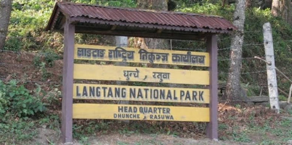लाङ्टाङ राष्ट्रिय निकुञ्जमा पर्यटक आगमन र राजस्व दुवै घट्यो