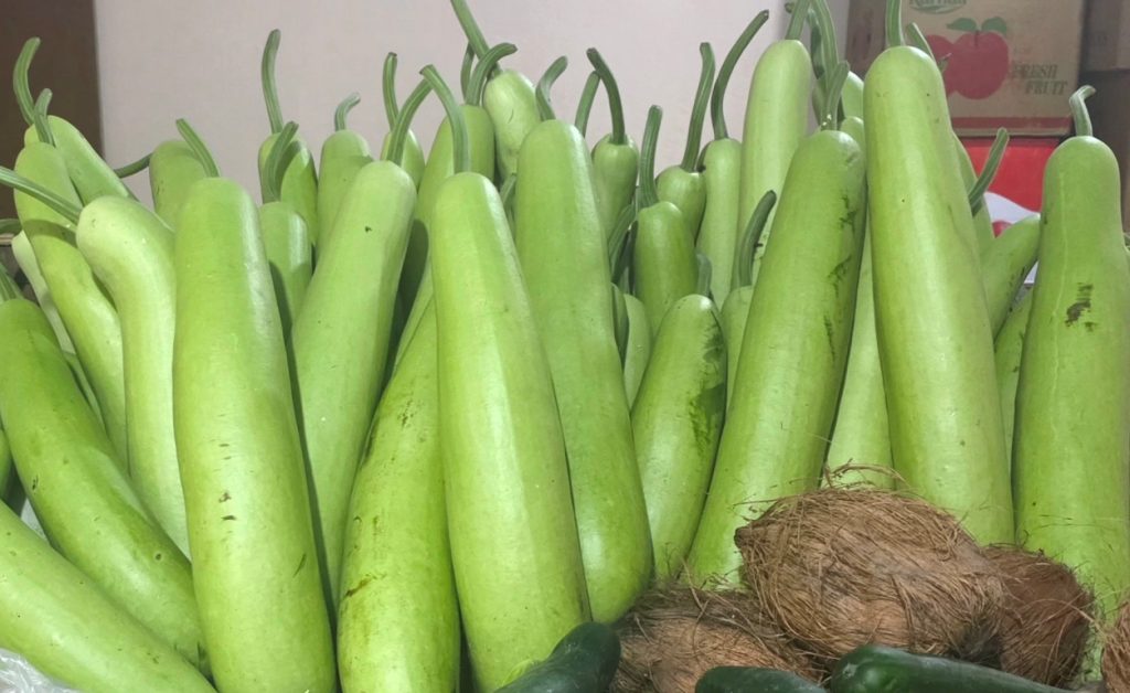 धुव्रतारा कृषि सहकारीद्वारा अर्गानिक लौकाखेती विस्तार