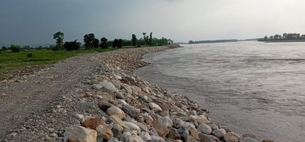 नारायणी नदी तीव्र गतिमा तटबन्धन निर्माण गरिँदै