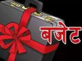 १३ स्थानीय तहले ल्याएनन् चालु आवको बजेट १३ स्थानीय तहले ल्याएनन् चालु आवको बजेट