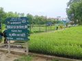 हरियाली प्रवर्द्धन गर्न छ लाख बिरुवा वितरण हरियाली प्रवर्द्धन गर्न छ लाख बिरुवा वितरण